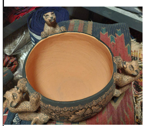 Jaguars around the Bowl 807