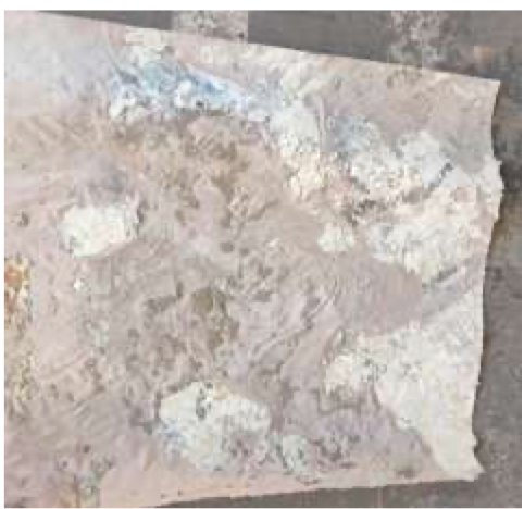 Daylight Art on Canvas 881