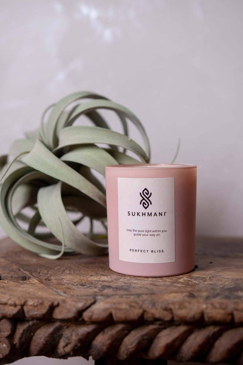 Signature Sukhmani Candle Perfect Bliss in Blush Matte Vessel with Box